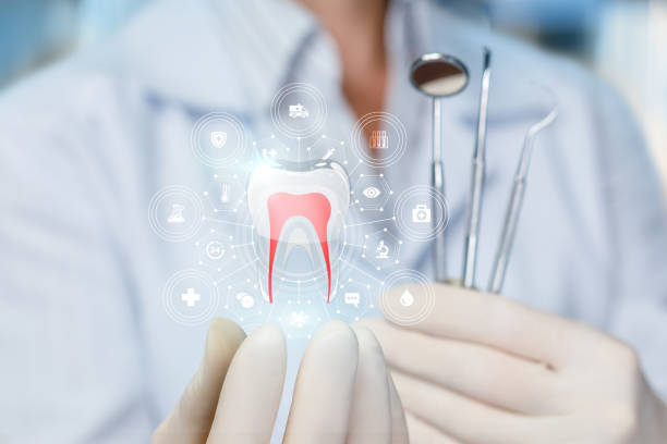 Best Wisdom Tooth Removal  in Cypress Quarters, FL